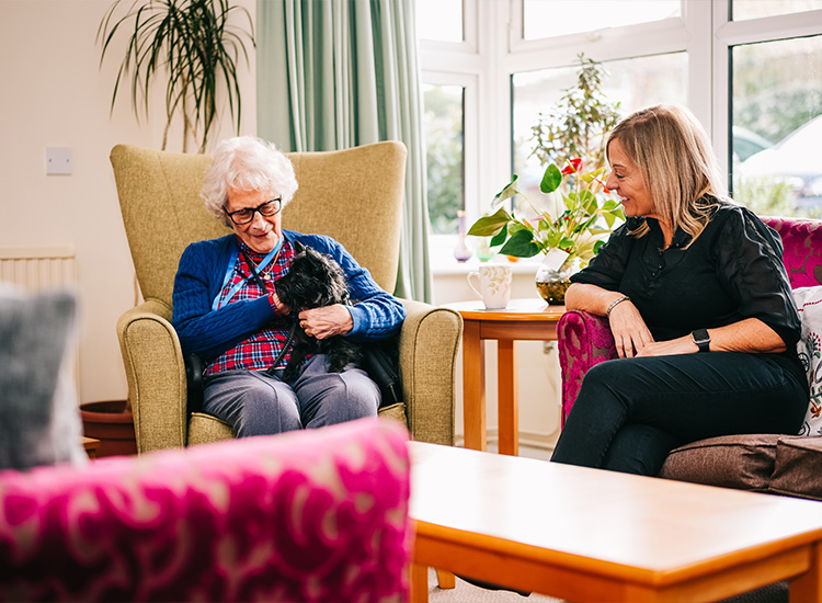 Caring consultation at Golden Heart